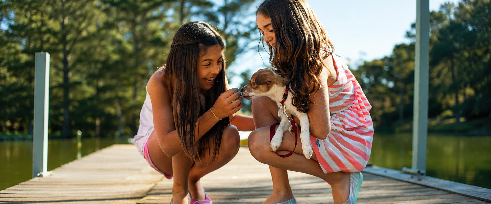 A family spending a quiet moment together with their beloved dog